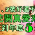 1月1、2號開始，好運不離身，桃花開真愛來，一旺到年底的5大生肖！