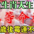 這七大生肖，天生上等命格，五十歲之後無災無難，黴運不沾身