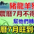 家有豬龍羊猴，農曆七月不得了了！幫他們轉一下！旺到不行