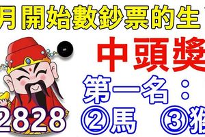 6月開始數鈔票和有機會中大獎的生肖！