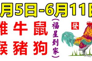 12生肖周運勢！雞、牛、鼠、猴、豬、狗！福星到家！（6月5日—6月11日）