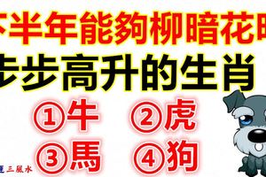 下半年能夠柳暗花明步步高升的四大生肖！