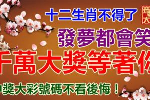 十二生肖不得了！發夢都會笑，千萬大獎等著你，中獎大彩號碼不看後悔！