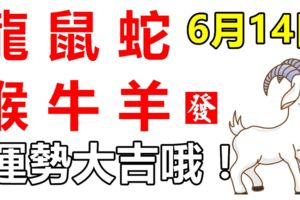 6月14日，生肖龍、鼠、蛇、猴、牛、羊！運勢大吉！