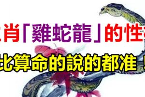 生肖「雞，蛇，龍」的性格，比算命的說的都准！