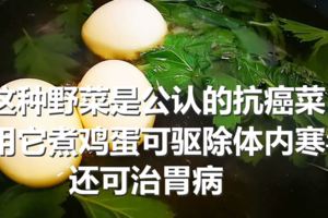 這種野菜是公認的抗癌菜，用它煮雞蛋可驅除體內寒毒，還可治胃病