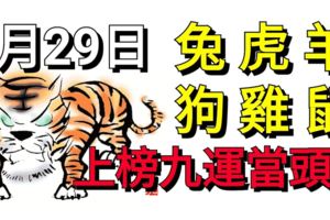 6月29日生肖運勢！生肖兔、虎、羊、狗、雞、鼠！九運當頭！