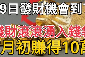 29日發財機會到了！錢財滾滾湧入錢袋，7月初賺得10萬3生肖