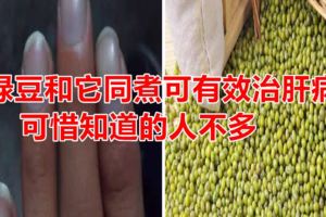 綠豆和它同煮可有效治肝病可惜知道的人不多