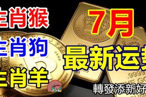 生肖猴、生肖狗、生肖羊的7月最新運勢