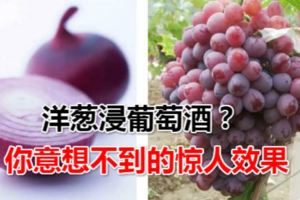 洋蔥浸葡萄酒？你意想不到的驚人效果