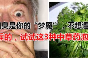 口臭是你的「夢魘」，不想遭排斥的，試試這3種中草藥泡茶！