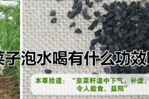 韭菜子泡水喝有什麼功效呢？服用之後具有補腎溫陽的效果