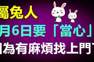 屬兔人8月6日要「當心」了，因為有麻煩找上門了！