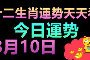 十二生肖運勢天天看，今日運勢：8月10日