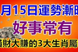 8月15日運勢漸旺，好事常有，橫財大賺的3大生肖屬相！