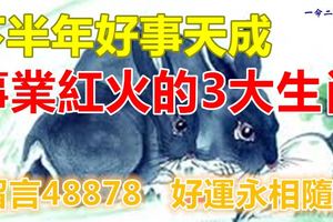 下半年好事天成，事業紅火的3大生肖！留言48878好運永相隨！