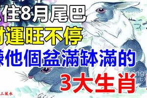 抓住8月尾巴，財運旺不停，賺他個盆滿缽滿的3大生肖！