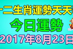 十二生肖運勢天天看，今日運勢：8月23日