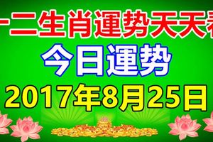 十二生肖運勢天天看，今日運勢：8月25日