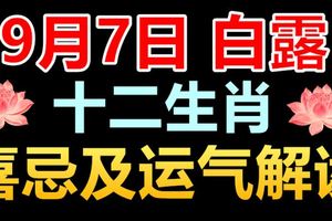 9月7日白露十二生肖喜忌及運氣解讀