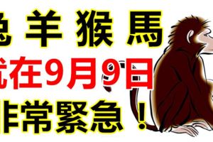 生肖兔、羊、猴、馬的人注意了！就在9月9日！