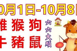 12生肖周運勢！雞、猴、狗、牛、豬、鼠！六六大順！（10月1日—10月8日）