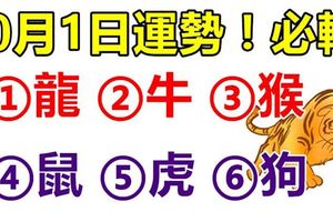 10月1日，12生肖運勢！龍、牛、猴、鼠、虎、狗！必轉！新的一月好運連連來！