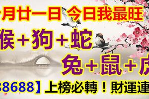 十月廿一日，今日我最旺！猴+狗+蛇+兔+鼠+虎！88688上榜必轉！財運連連！