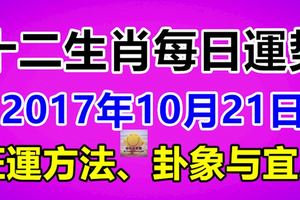 獨家十二生肖每日運勢2017年10月21日；旺運方法、卦象與宜忌