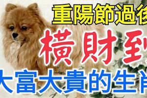 重陽節過後，這四大生肖橫財來到，大富大貴到年底！