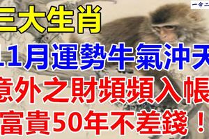 11月上旬運勢牛氣沖天，意外之財頻頻入帳，富貴50年不差錢3大生肖！