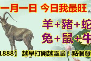 十一月一日，今日我最旺！羊+豬+蛇+兔+鼠+牛！【51888】越早打開越靈驗！點個贊吧！