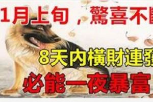 11月上旬，驚喜不斷，處處逢貴人，8天內橫財連發，必能一夜暴富！