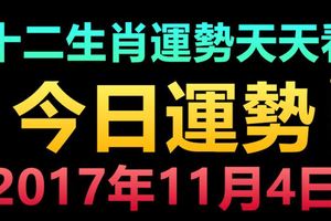 十二生肖運勢天天看，今日運勢：2017年11月4日