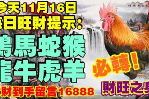 今天11月16日,每日旺財提示：雞馬蛇猴，龍牛虎羊。財旺之身！大財到手留言16888必轉！