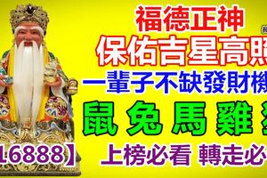 福德正神保佑吉星高照！一輩子不缺發財機會！鼠兔馬雞狗！【16888】上榜必看轉走必發