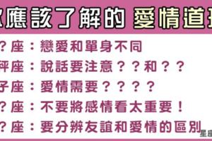 《不只是相愛》十二星座應該明白的「愛情道理」！現在開始深思反省，才不會悔不當初