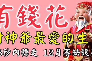 有錢花！12月財神爺最愛的生肖！將會「一旺到來年」！(88秒內轉走，12月不缺錢花！）