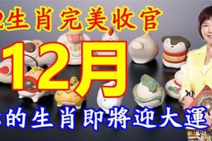 12生肖完美收官12月！你的生肖在年尾會有怎樣的好運呢？