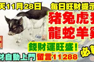 今天11月28日,每日旺財提示：豬兔虎狗，龍蛇羊雞。錢財運旺盛！錢財自動上門留言11288必轉！