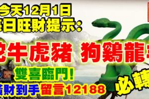 今天12月1日,每日旺財提示：蛇牛虎豬，狗雞龍羊。雙喜臨門！橫財到手留言12188必轉！