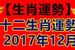 【生肖運勢】2017年12月十二生肖運勢