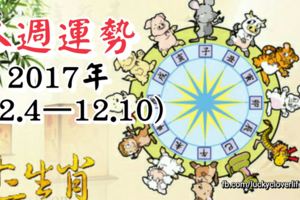 十二生肖本週運勢2017年(12.4—12.10)