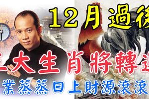 風水大師蘇民峰：12月過後三大生肖將轉運，事業蒸蒸日上財源滾滾來