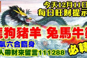 今天12月11日,每日旺財提示：龍狗豬羊，兔馬牛雞。財氣六合臨身！貴人帶財來留言111288必轉！