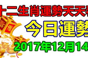 十二生肖運勢天天看，今日運勢：12月14日