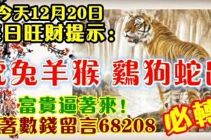 今天12月20日,每日旺財提示：虎兔羊猴，雞狗蛇鼠。富貴逼著來！等著數錢留言68208必轉！