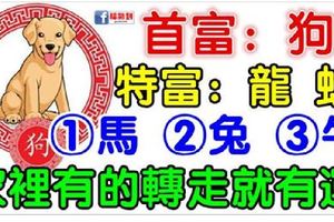 2018年，你家裡有生肖【狗龍蛇馬兔牛】嗎？家裡有的轉走就有運，沒有就算了。