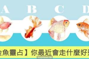 【金魚靈佔】選一隻你喜歡的金魚，測你最近會走什麼好運？